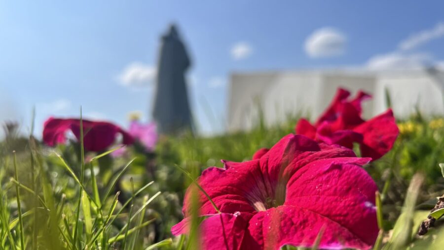 Цветы у мемориала Алёша в Мурманске