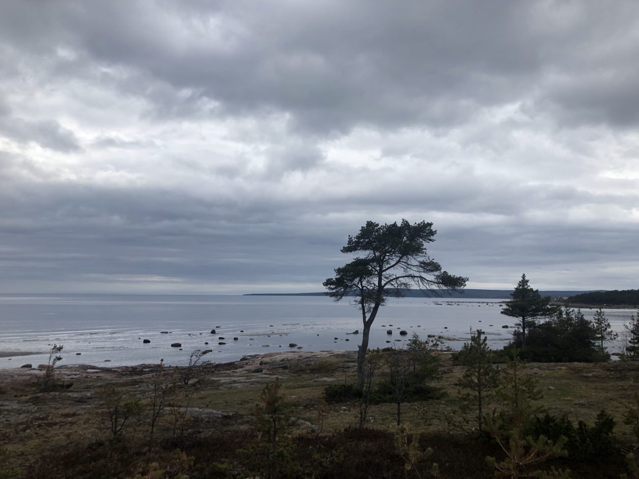 Белое море Белое море