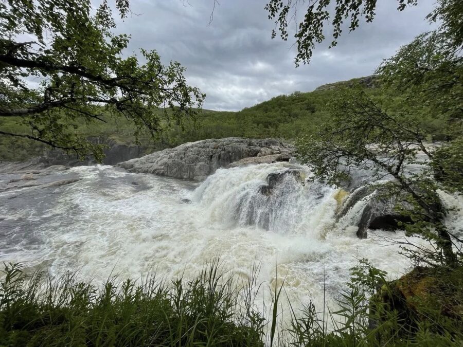 Арктический водопад среди берёзового леса