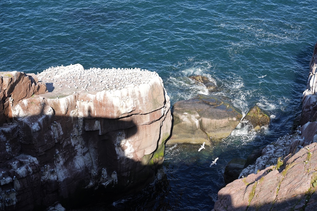 Snowy cliffs above the Arctic sea